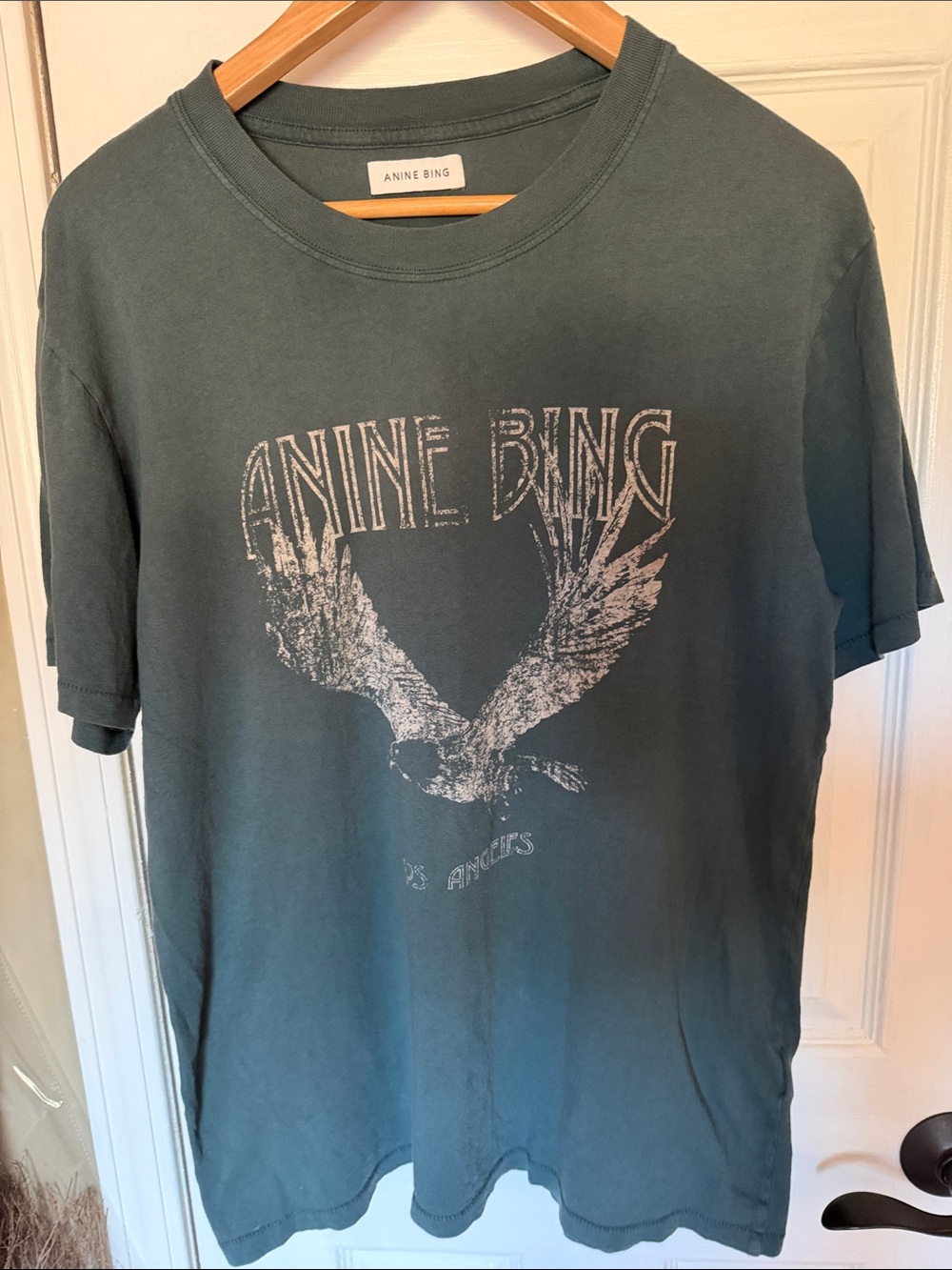 ANINE BING Men's Teal Graphic Eagle Tee